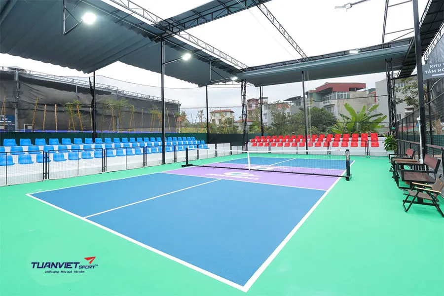 Top những màu sân pickleball đẹp và phổ biến hiện nay