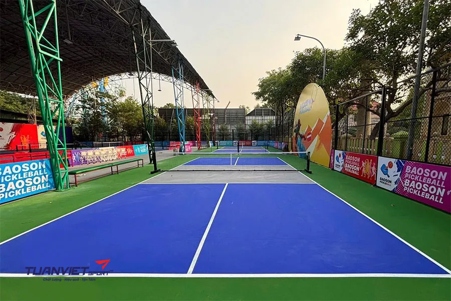 Top những màu sân pickleball đẹp và phổ biến hiện nay