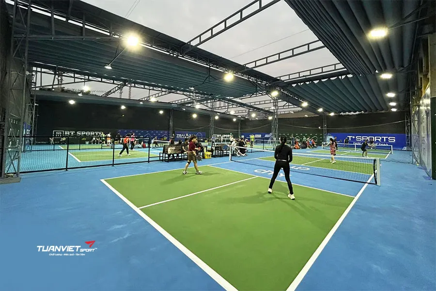 Top những màu sân pickleball đẹp và phổ biến hiện nay