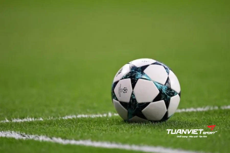 c&aacute;c loại b&oacute;ng đ&aacute; s&acirc;n cỏ nh&acirc;n tạo