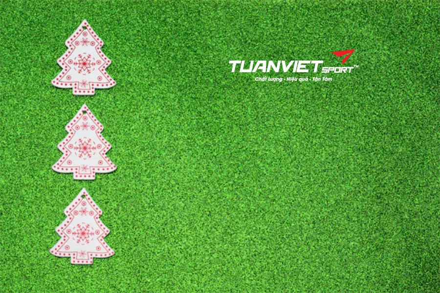 C&aacute;ch kết hợp cỏ nh&acirc;n tạo, c&acirc;y th&ocirc;ng v&agrave; đ&egrave;n để tạo g&oacute;c check-in Noel lung linh tại nh&agrave;