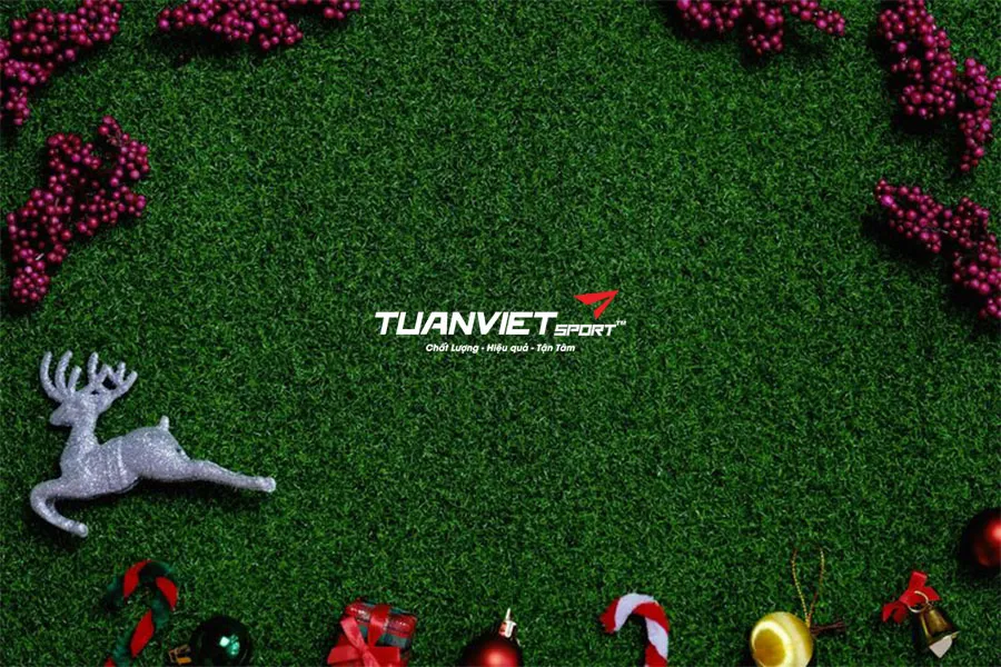 C&aacute;ch kết hợp cỏ nh&acirc;n tạo, c&acirc;y th&ocirc;ng v&agrave; đ&egrave;n để tạo g&oacute;c check-in Noel lung linh tại nh&agrave;