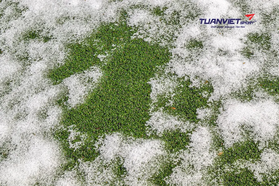 Cỏ nhân tạo chống trơn trượt – lựa chọn an toàn và bền đẹp cho mùa Noel lạnh ẩm