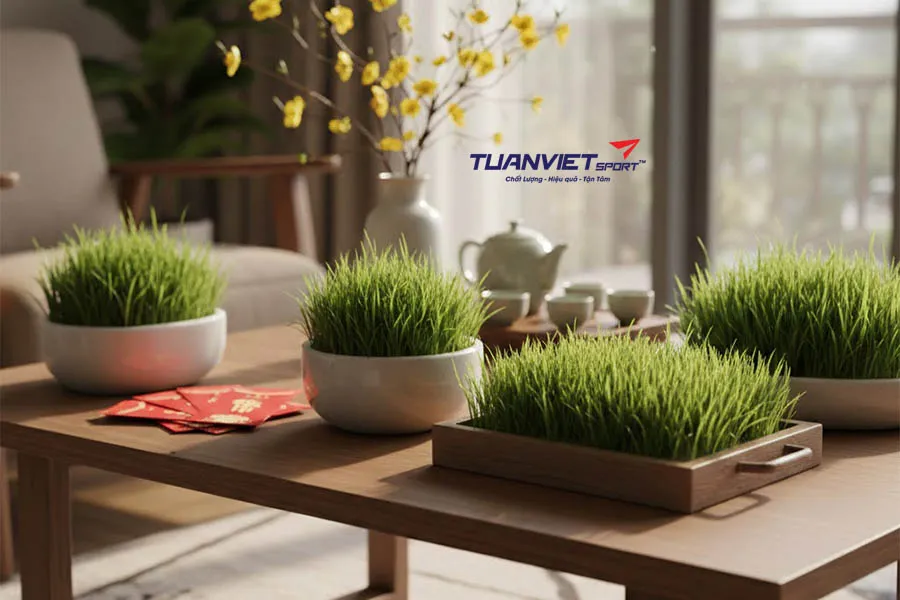 So s&aacute;nh cỏ nh&acirc;n tạo v&agrave; cỏ thật khi trang tr&iacute; Tết?