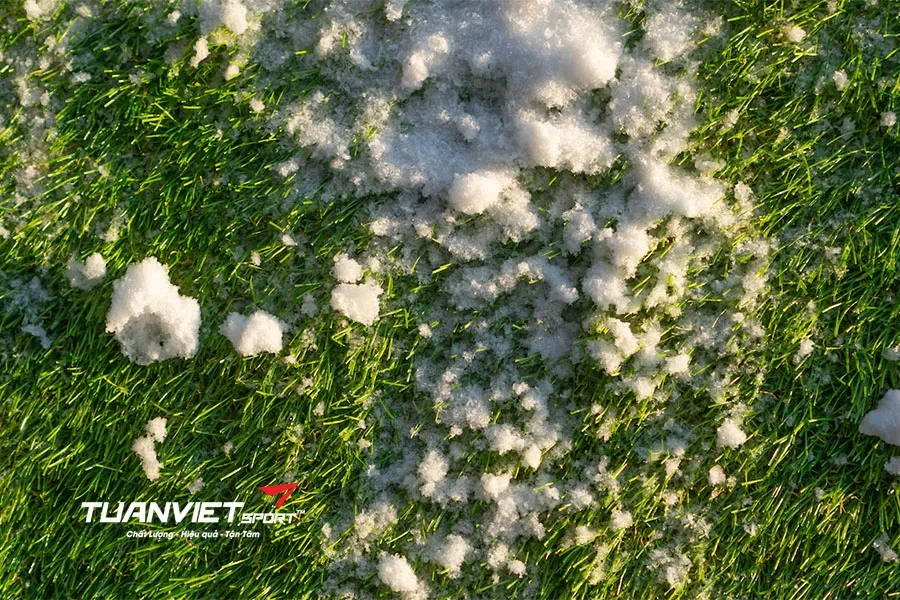 Tạo “xứ sở tuyết xanh” với cỏ nhân tạo và phụ kiện Giáng sinh độc đáo