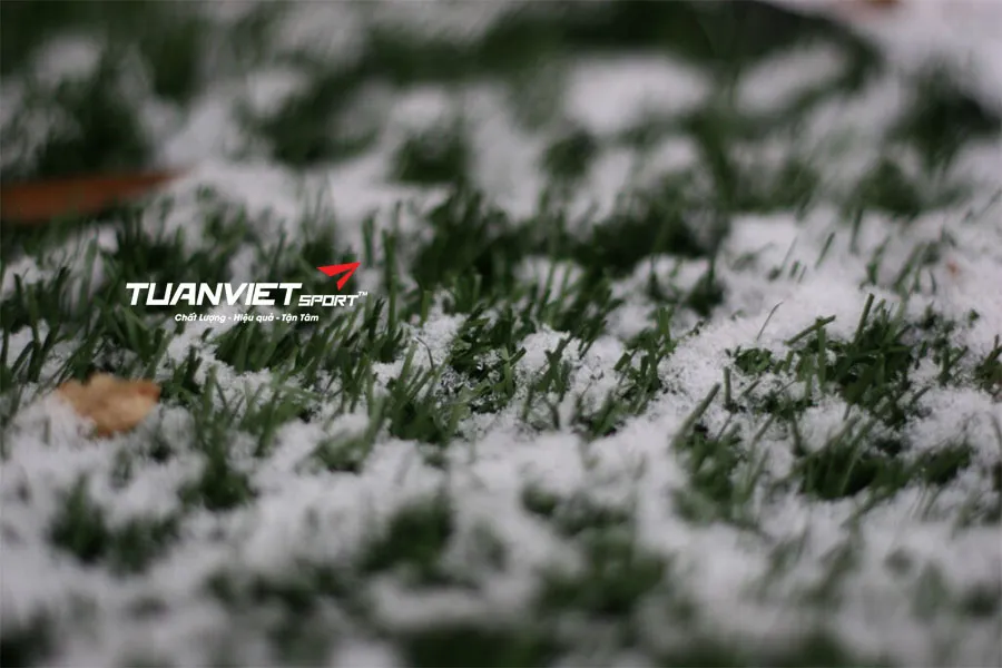 Tạo “xứ sở tuyết xanh” với cỏ nhân tạo và phụ kiện Giáng sinh độc đáo