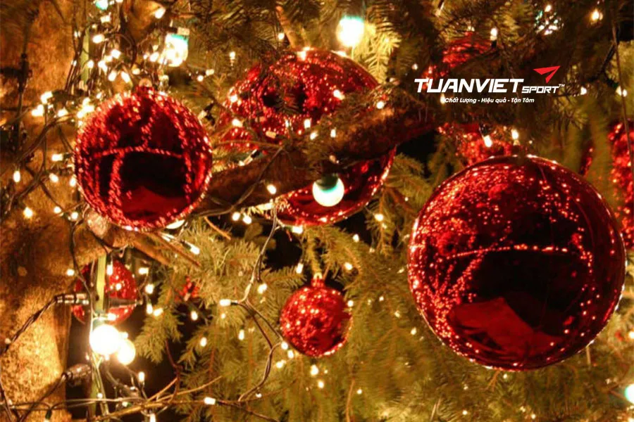 Trang trí Giáng sinh bằng cỏ nhân tạo: Gợi ý và lưu ý cần biết