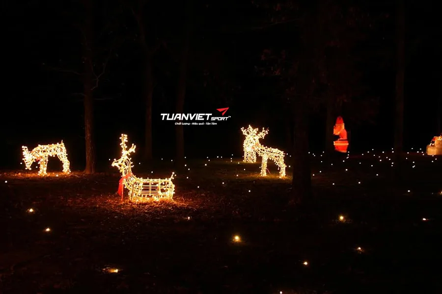 Trang trí khu chụp ảnh Giáng sinh ngoài trời với cỏ nhân tạo và ánh sáng LED lung linh