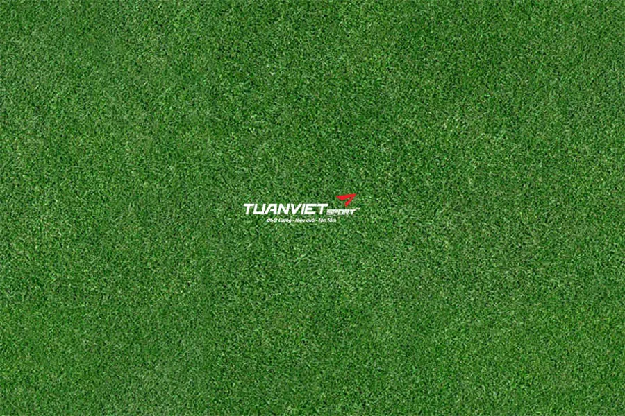 &Yacute; tưởng trang tr&iacute; s&acirc;n vườn ng&agrave;y Tết bằng cỏ nh&acirc;n tạo đẹp, gọn g&agrave;ng, dễ thi c&ocirc;ng