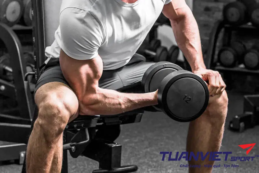 10 bài tập tăng sức mạnh cổ tay và cánh tay cho người chơi pickleball