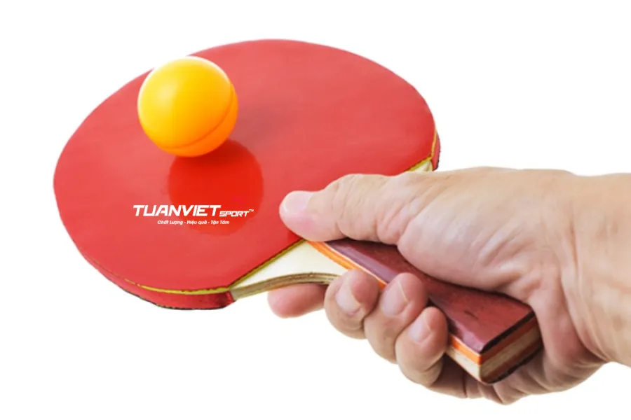 Cách bảo quản cốt vợt bóng bàn để tránh bị cong nứt