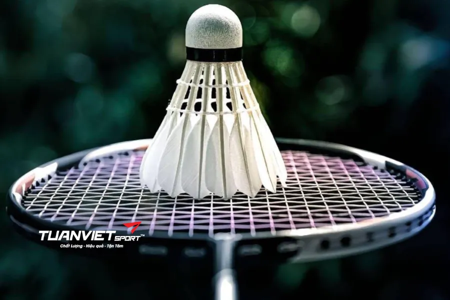 C&aacute;ch bảo quản vợt cầu l&ocirc;ng khi kh&ocirc;ng sử dụng trong thời gian d&agrave;i