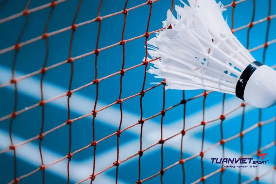 C&aacute;ch ph&acirc;n biệt lưới cầu l&ocirc;ng ch&iacute;nh h&atilde;ng v&agrave; lưới gi&aacute; rẻ k&eacute;m chất lượng