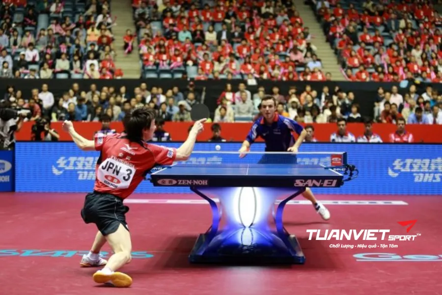 Cất giày bóng bàn trong túi thể thao mẹo chống ẩm mốc hiệu quả