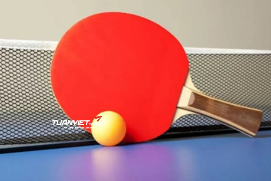 Có nên dùng nilon như cách để bảo quản mặt vợt bóng bàn không