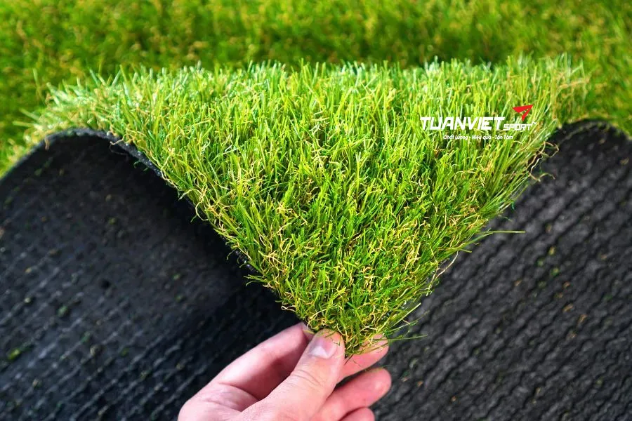 Hướng dẫn vệ sinh và bảo quản thảm cỏ sân vườn để luôn như mới