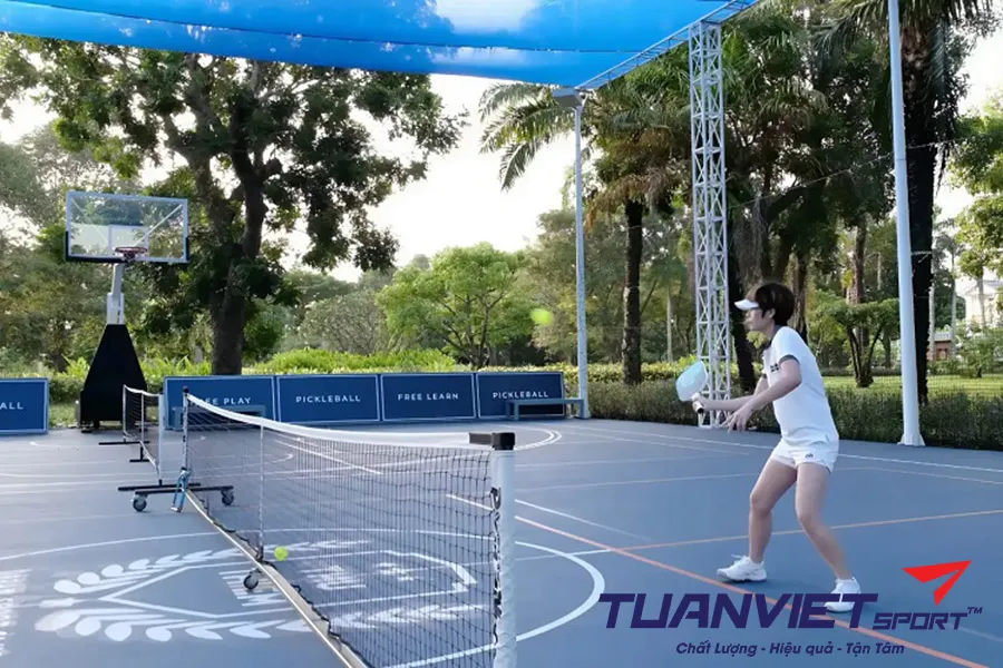 Làm Chủ Khu Vực Chuyển Tiếp Trong Pickleball