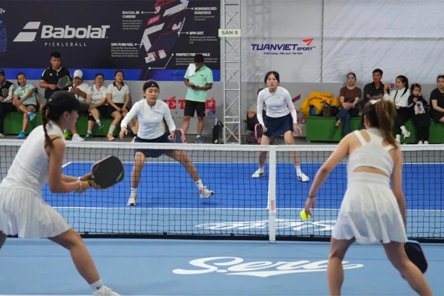 Thể thức giải Pickleball: So sánh các dạng đấu phổ biến và gợi ý cách chọn