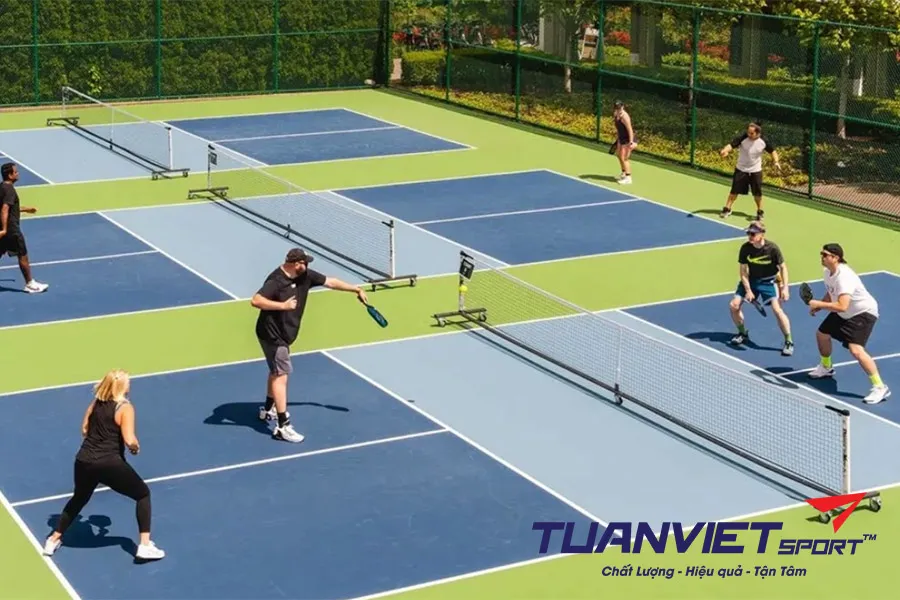 5 lợi ích sức khỏe giúp giảm mỡ nội tạng của pickleball