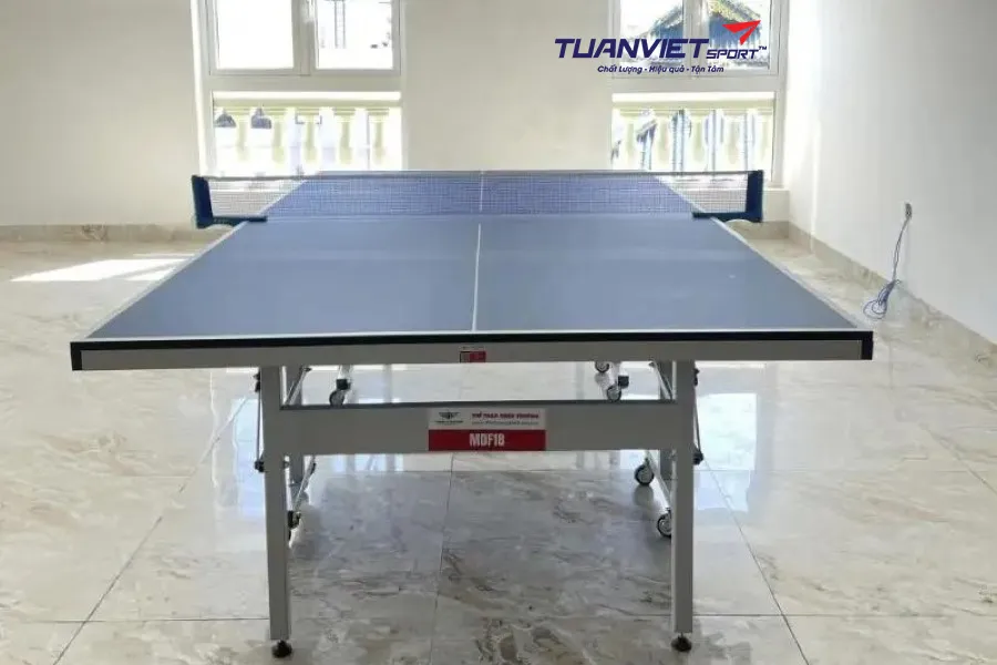 Bàn bóng bàn là gì? Phân loại bàn bóng bàn hiện nay