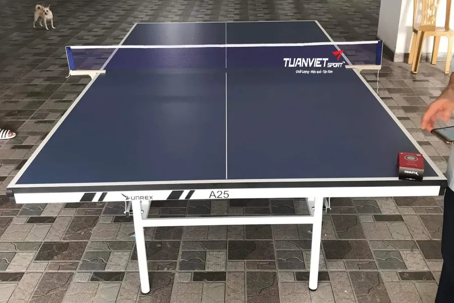 Bàn bóng bàn là gì? Phân loại bàn bóng bàn hiện nay