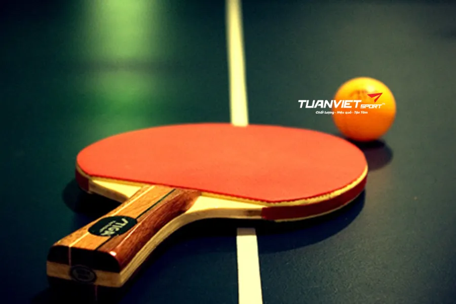 Cách bảo quản vợt bóng bàn cho người mới chơi giúp bền vợt, chắc tay, chơi tốt hơn