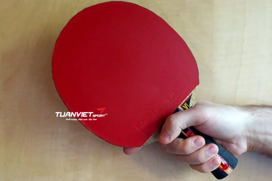 Cách bảo quản vợt bóng bàn cho người mới chơi giúp bền vợt, chắc tay, chơi tốt hơn