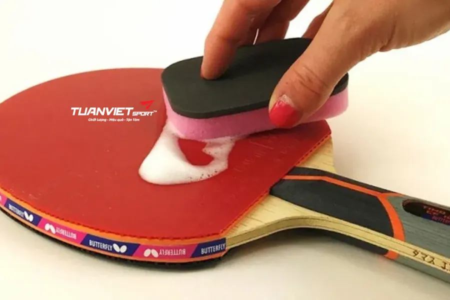 Cách bảo quản vợt bóng bàn cho người mới chơi giúp bền vợt, chắc tay, chơi tốt hơn