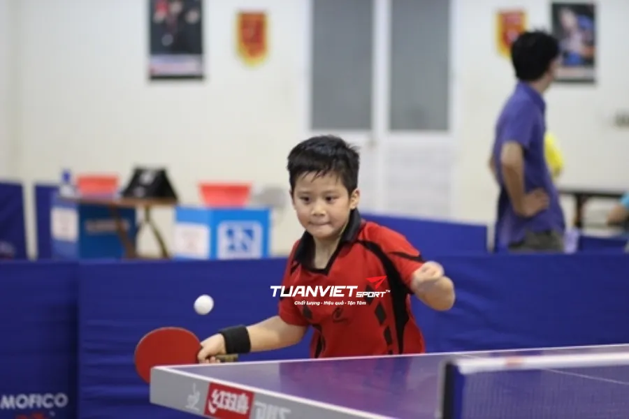 Cách cầm vợt bóng bàn đúng để đánh topspin hiệu quả