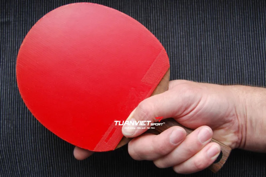 C&aacute;ch cầm vợt b&oacute;ng b&agrave;n đ&uacute;ng kỹ thuật (Shakehand & Penhold) &ndash; Nền tảng của c&aacute;ch chơi b&oacute;ng b&agrave;n