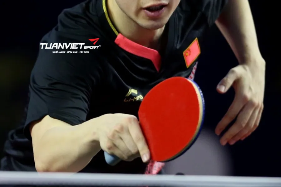 C&aacute;ch cầm vợt b&oacute;ng b&agrave;n đ&uacute;ng kỹ thuật (Shakehand & Penhold) &ndash; Nền tảng của c&aacute;ch chơi b&oacute;ng b&agrave;n