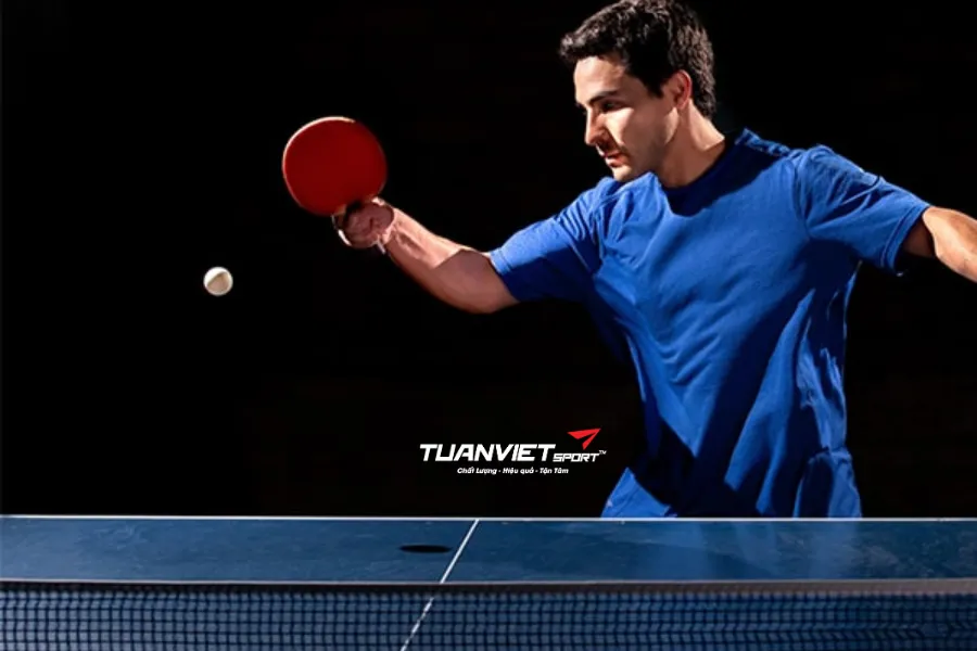 Cách chơi bóng bàn hiệu quả dành cho người mới bắt đầu