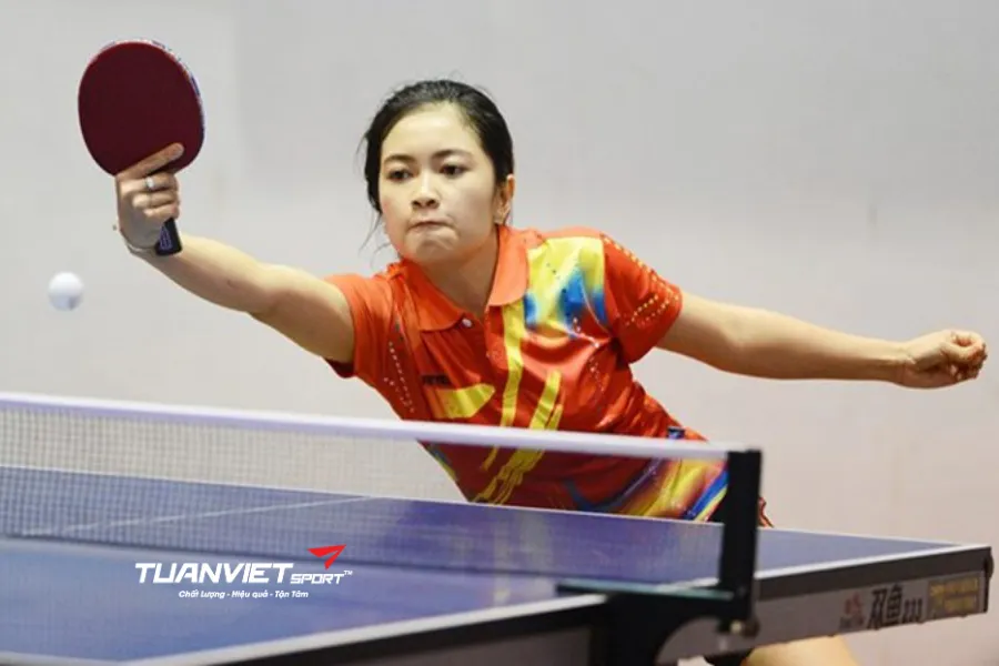 Cách chơi bóng bàn hiệu quả dành cho người mới bắt đầu