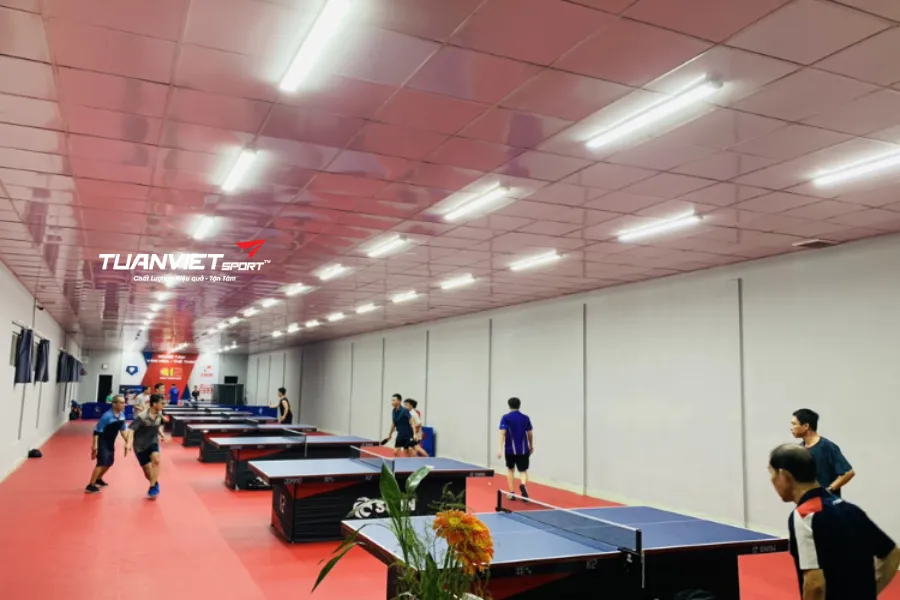 Câu lạc bộ bóng bàn là gì 7 lợi ích vàng khi tham gia câu lạc bộ bóng bàn