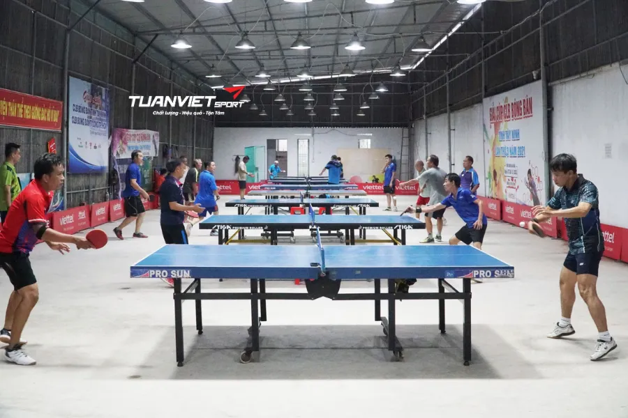 Câu lạc bộ bóng bàn là gì 7 lợi ích vàng khi tham gia câu lạc bộ bóng bàn