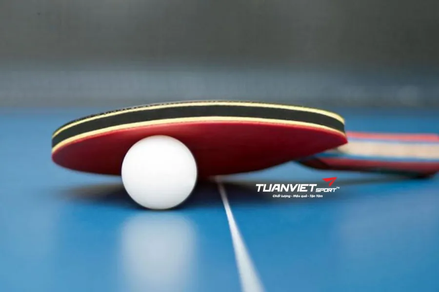 Có nên để vợt bóng bàn trong cốp xe không