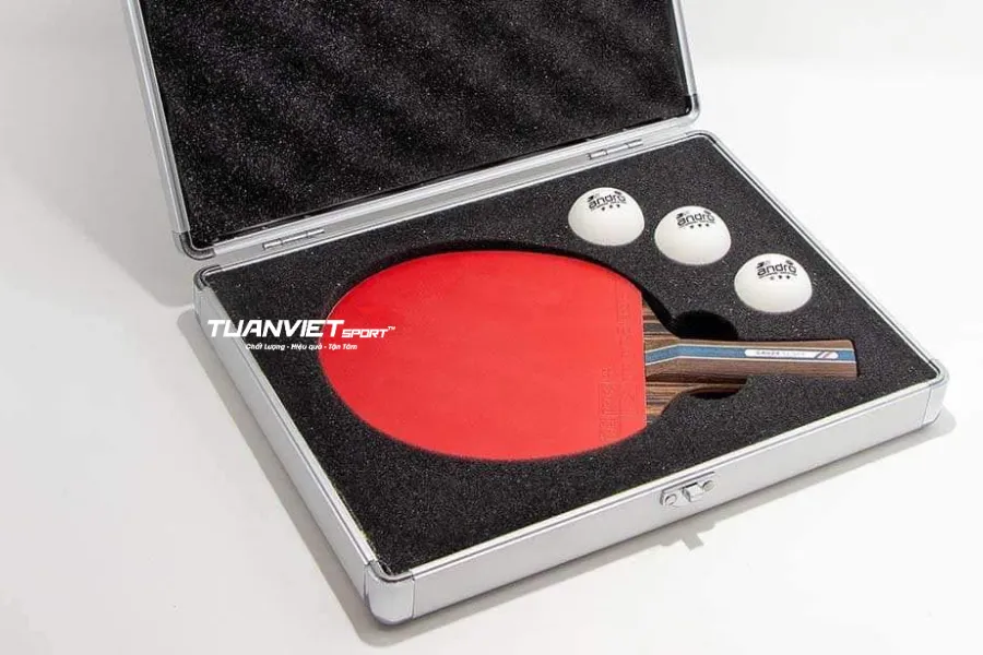 Có nên mua hộp đựng vợt bóng bàn không Gợi ý các loại tốt nhất cho người chơi