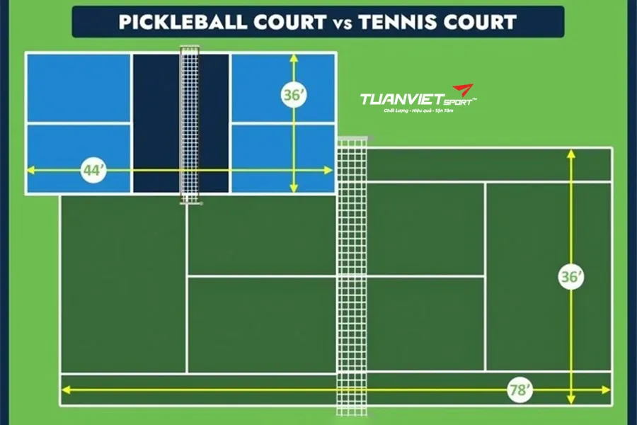 Có thể chơi Pickleball trên sân tennis không? Hướng dẫn chi tiết cách chuyển đổi và setup chuẩn