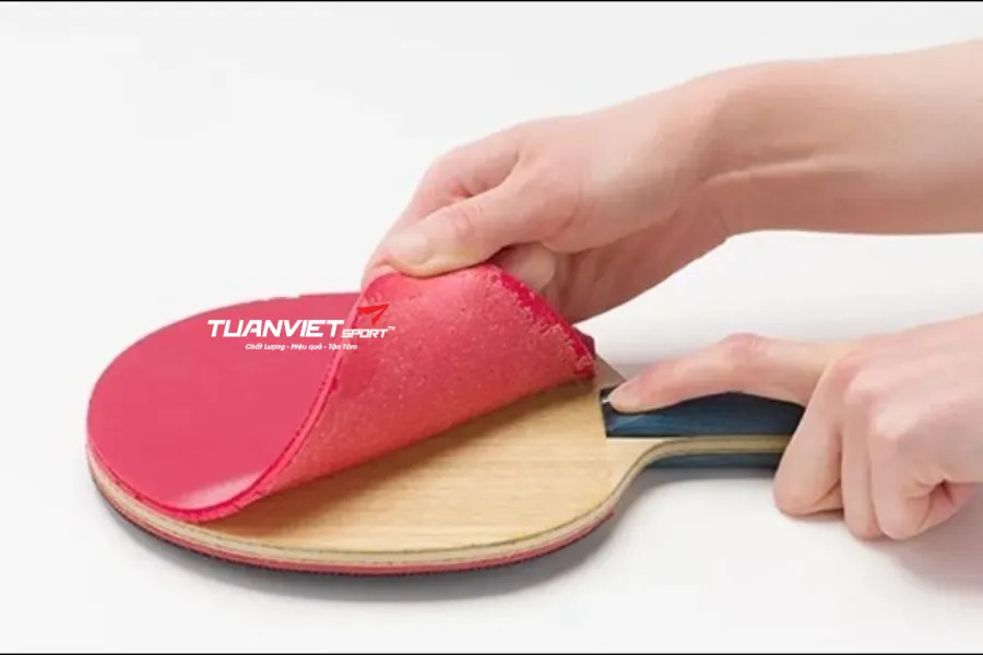 Dung dịch vệ sinh vợt bóng bàn có thực sự cần thiết Lợi ích & khi nào nên dùng