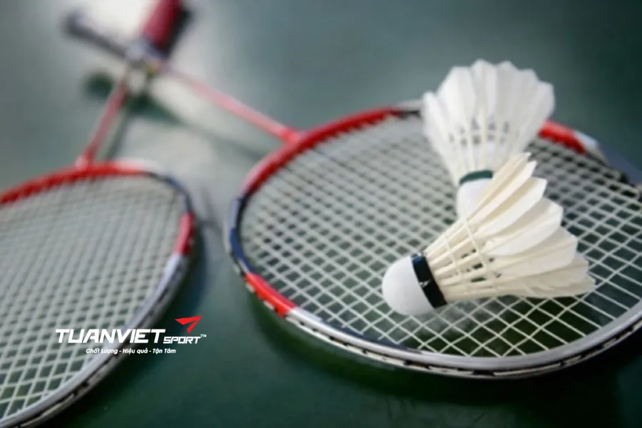 Giải đáp chi tiết có nên xả dây vợt cầu lông khi không chơi mà người mới cần biết