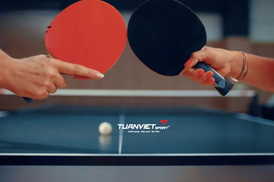 Luật bóng bàn và kỹ thuật cơ bản cho người mới
