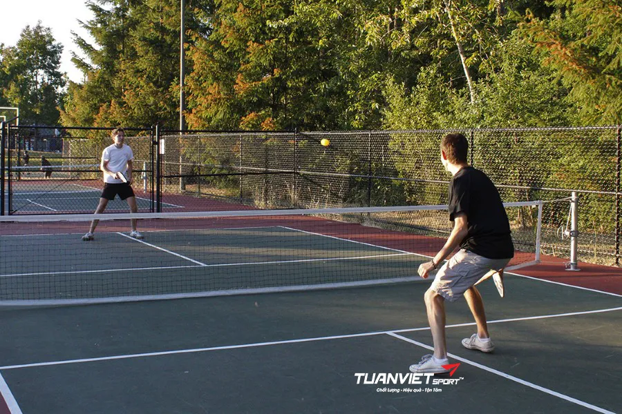 sân pickleball