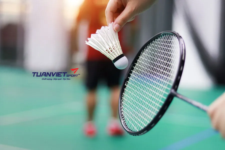 Mua lưới cầu lông ở đâu? Cách chọn nơi bán lưới cầu lông uy tín, chính hãng, đúng nhu cầu
