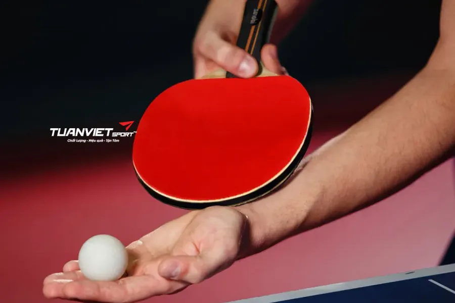 N&ecirc;n mua dụng cụ ở đ&acirc;u cho c&acirc;u lạc bộ b&oacute;ng b&agrave;n? Gợi &yacute; nguồn uy t&iacute;n & gi&aacute; tốt