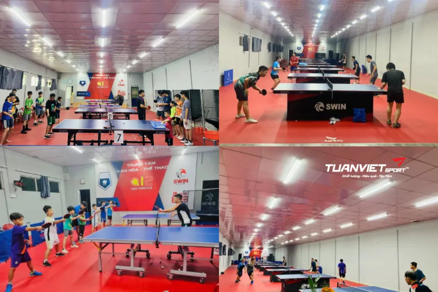 N&ecirc;n mua dụng cụ ở đ&acirc;u cho c&acirc;u lạc bộ b&oacute;ng b&agrave;n? Gợi &yacute; nguồn uy t&iacute;n & gi&aacute; tốt