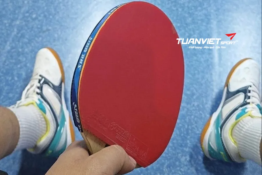 Người mới chơi b&oacute;ng b&agrave;n n&ecirc;n chọn gi&agrave;y JOOLA thế n&agrave;o? Hướng dẫn chi tiết từ A-Z