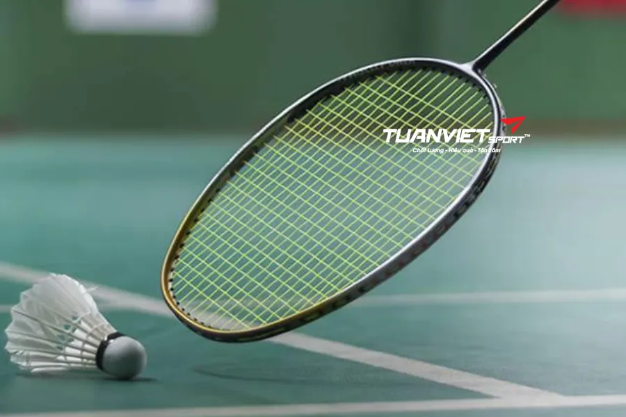 Người mới chơi cầu lông cần biết gì để bảo quản vợt đúng cách