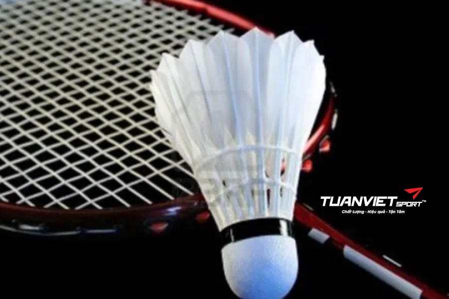 Nhiệt độ và độ ẩm ảnh hưởng thế nào đến vợt cầu lông