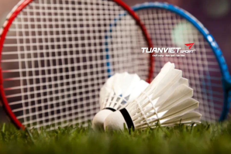 Nhiệt độ và độ ẩm ảnh hưởng thế nào đến vợt cầu lông