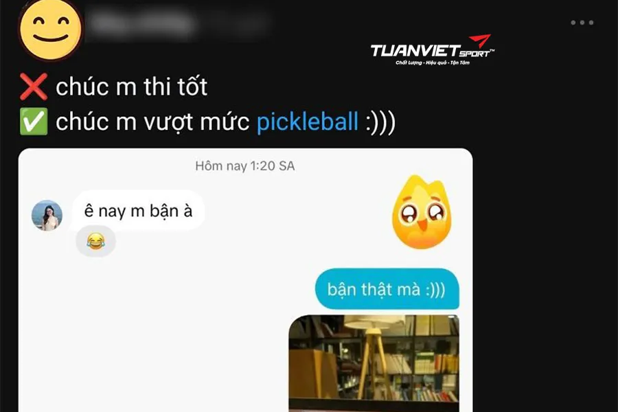 Pickleball là gì? Cập nhật từ điển ngôn ngữ GenZ